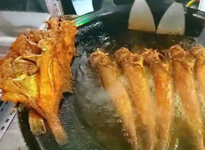 香煎深海鱼培训哪家好？学费多少钱