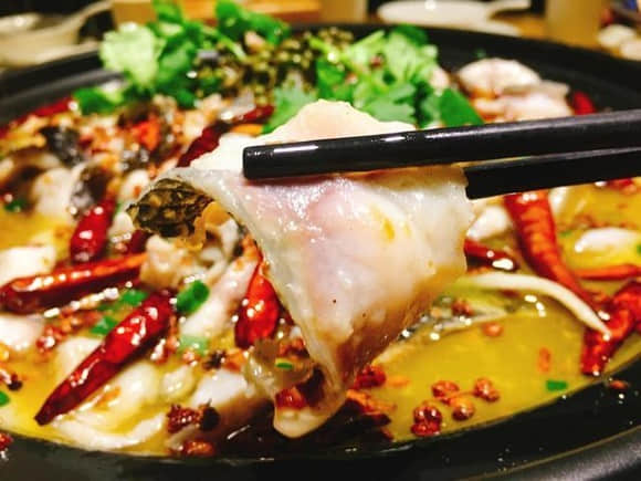 火锅鱼大揭秘：这几种鱼让你的火锅店生意火爆！(图1)