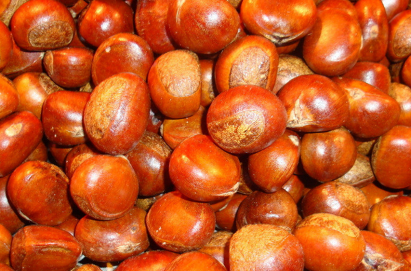 糖炒栗子是用什么炒的？一锅香气的秘密，全靠火候与炒料的黄金搭配！(图3)