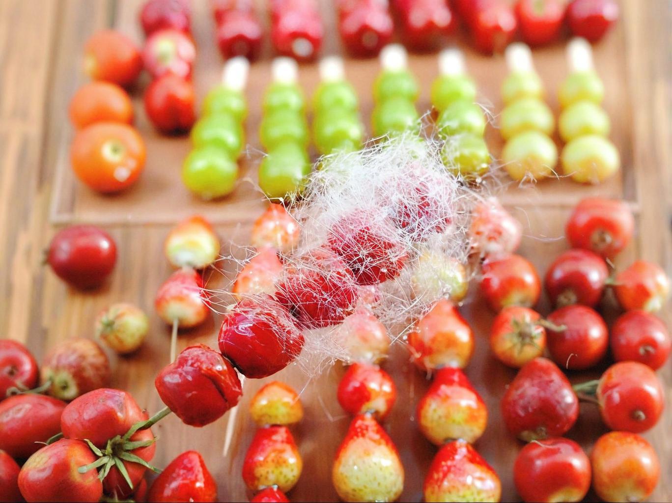 糖葫芦在哪里学？从选择培训到实操经验一次说清